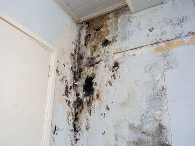 About Experienced Water Damage Restoration LLC
